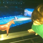 Oyuncak at öğreniyor