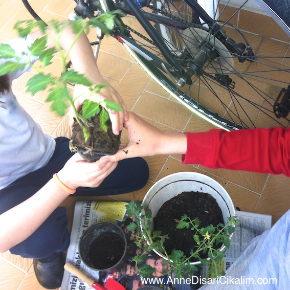 Domates fideleri1, çocuklara etkinlik, anne disari cikalim