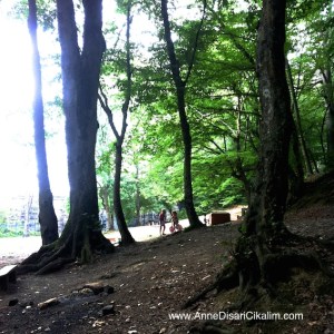 Belgrad ormanlari cocuklar oyun oynuyor