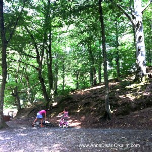 cocuklar ormanda oynar