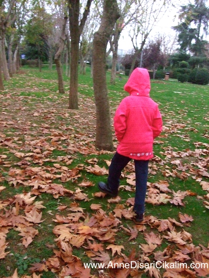 sonbahar kuru yapraklarin uzerinde gezinti1