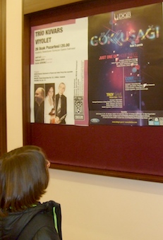 Gokkusagi balesi afise bakarken