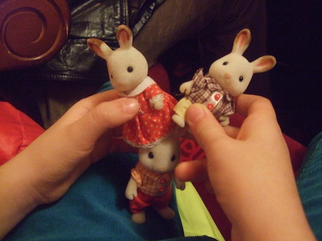 sullivan ailesi gokkusagi balesinde