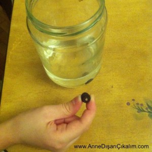 nilufer cekirdegi delindi